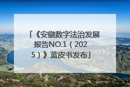 《安徽数字法治发展报告NO.1（2025）》蓝皮书发布