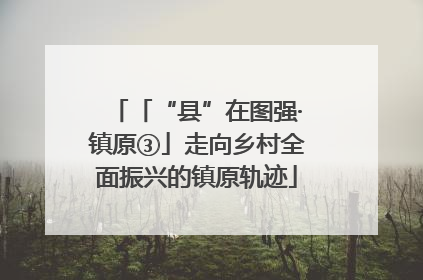 「“县”在图强·镇原③」走向乡村全面振兴的镇原轨迹