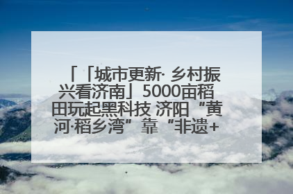 「城市更新· 乡村振兴看济南」5000亩稻田玩起黑科技 济阳“黄河·稻乡湾”靠“非遗+露营”火出圈