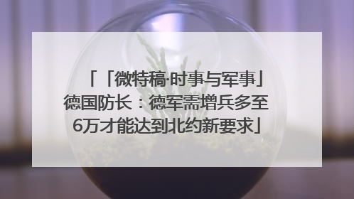 「微特稿·时事与军事」德国防长：德军需增兵多至6万才能达到北约新要求