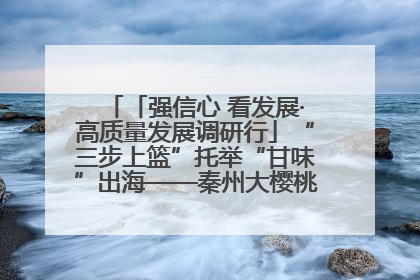 「强信心 看发展·高质量发展调研行」“三步上篮”托举“甘味”出海——秦州大樱桃高质量发展动作分解