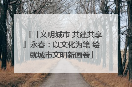 「文明城市 共建共享」永春：以文化为笔 绘就城市文明新画卷