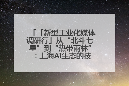 「新型工业化媒体调研行」从“北斗七星”到“热带雨林”：上海AI生态的技术商业共生密码