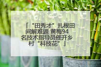“田秀才”扎根田间解难题 黄梅94名技术指导员催开乡村“科技花”
