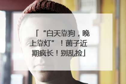 “白天靠狗，晚上靠灯”！菌子近期疯长！别乱捡
