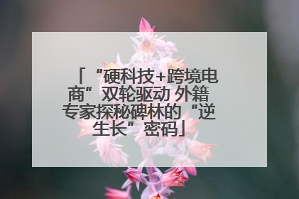 “硬科技+跨境电商”双轮驱动 外籍专家探秘碑林的“逆生长”密码