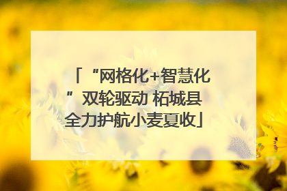 “网格化+智慧化”双轮驱动 柘城县全力护航小麦夏收