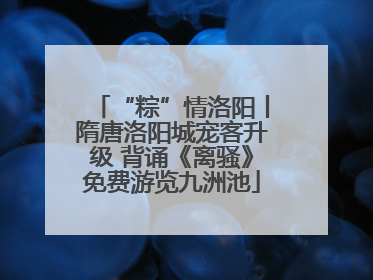 “粽”情洛阳丨隋唐洛阳城宠客升级 背诵《离骚》免费游览九洲池