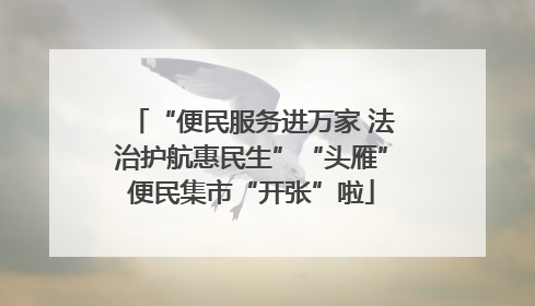 “便民服务进万家 法治护航惠民生”“头雁”便民集市“开张”啦