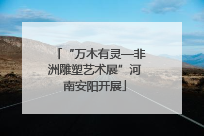 “万木有灵—非洲雕塑艺术展”河南安阳开展