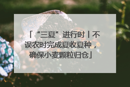 “三夏”进行时丨不误农时完成夏收夏种，确保小麦颗粒归仓