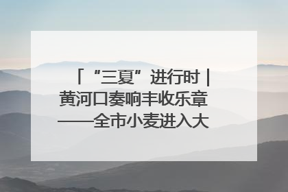 “三夏”进行时｜黄河口奏响丰收乐章——全市小麦进入大面积收获高峰期