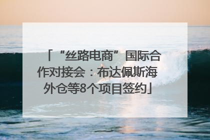 “丝路电商”国际合作对接会：布达佩斯海外仓等8个项目签约