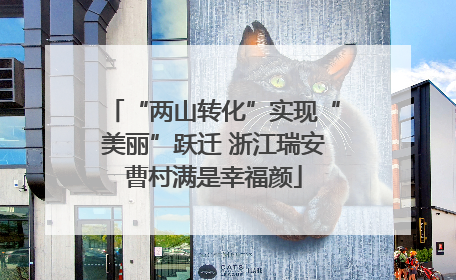 “两山转化”实现“美丽”跃迁 浙江瑞安曹村满是幸福颜