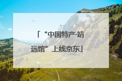 “中国特产·靖远馆”上线京东