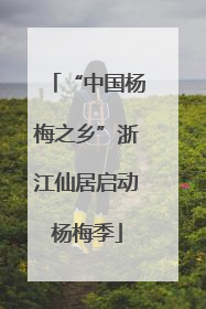 “中国杨梅之乡”浙江仙居启动杨梅季