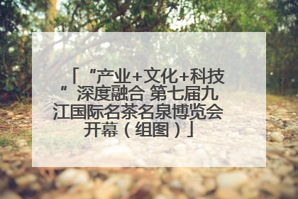 “产业+文化+科技”深度融合 第七届九江国际名茶名泉博览会开幕（组图）