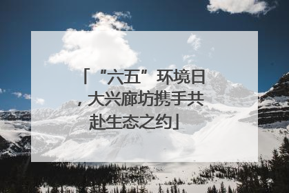 “六五”环境日，大兴廊坊携手共赴生态之约