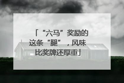 “六马”奖励的这条“腿”，风味比奖牌还厚重