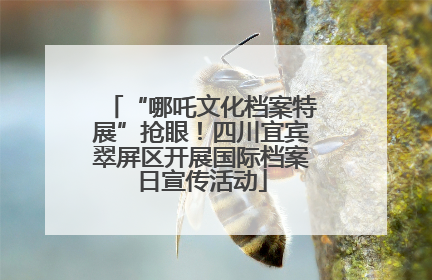 “哪吒文化档案特展”抢眼！四川宜宾翠屏区开展国际档案日宣传活动