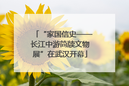 “家国信史——长江中游简牍文物展”在武汉开幕