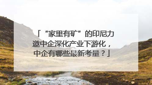 “家里有矿”的印尼力邀中企深化产业下游化，中企有哪些最新考量？