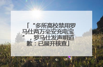 “多所高校禁用罗马仕两万毫安充电宝”，罗马仕发声明道歉：已展开核查