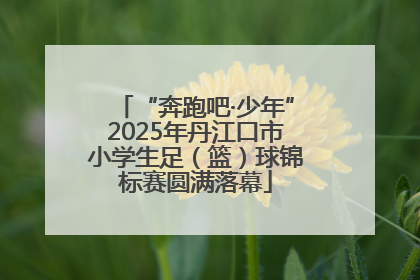 “奔跑吧·少年”2025年丹江口市小学生足（篮）球锦标赛圆满落幕