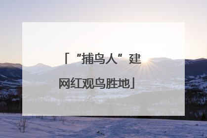 “捕鸟人”建网红观鸟胜地