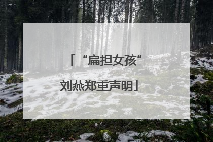 “扁担女孩”刘燕郑重声明