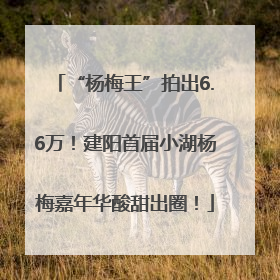 “杨梅王”拍出6.6万！建阳首届小湖杨梅嘉年华酸甜出圈！