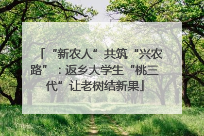 “新农人”共筑“兴农路”：返乡大学生“桃三代”让老树结新果