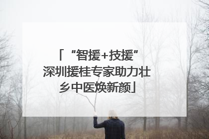 “智援+技援” 深圳援桂专家助力壮乡中医焕新颜
