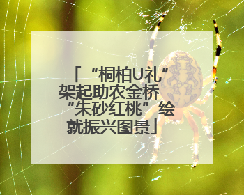“桐柏U礼”架起助农金桥 “朱砂红桃”绘就振兴图景