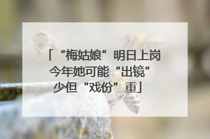 “梅姑娘”明日上岗 今年她可能“出镜”少但“戏份”重