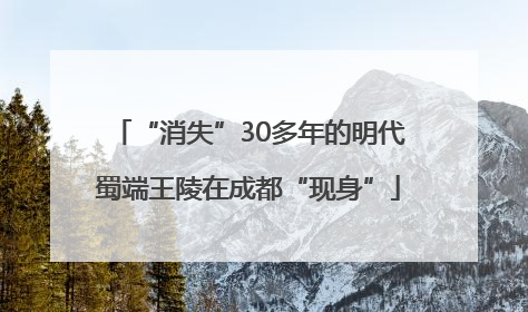 “消失”30多年的明代蜀端王陵在成都“现身”