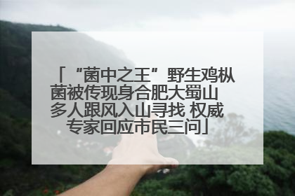 “菌中之王”野生鸡枞菌被传现身合肥大蜀山 多人跟风入山寻找 权威专家回应市民三问