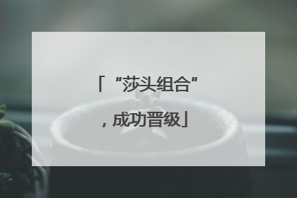 “莎头组合”，成功晋级