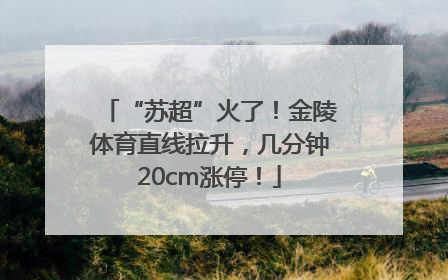 “苏超”火了！金陵体育直线拉升，几分钟20cm涨停！