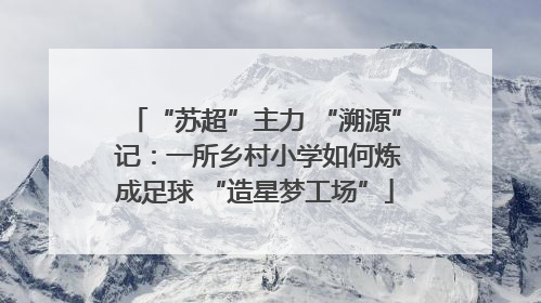 “苏超”主力 “溯源” 记：一所乡村小学如何炼成足球 “造星梦工场”