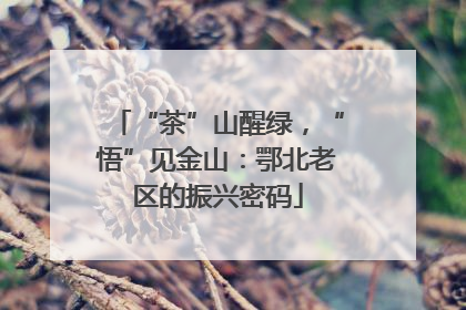 “茶”山醒绿，“悟”见金山：鄂北老区的振兴密码