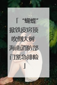 “蝴蝶”掀铁皮房顶吹倒大树 海南消防部门紧急排险