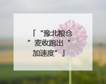“豫北粮仓”麦收跑出“加速度”