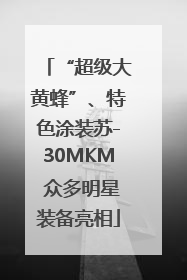 “超级大黄蜂”、特色涂装苏-30MKM 众多明星装备亮相
