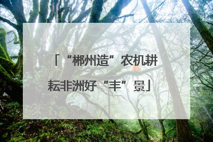 “郴州造”农机耕耘非洲好“丰”景