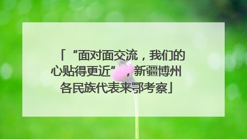 “面对面交流，我们的心贴得更近”，新疆博州各民族代表来鄂考察