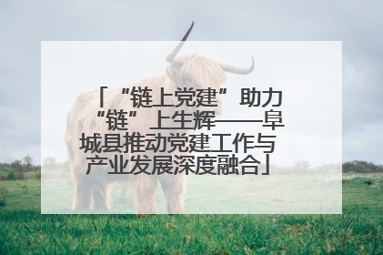 “链上党建”助力“链”上生辉——阜城县推动党建工作与产业发展深度融合