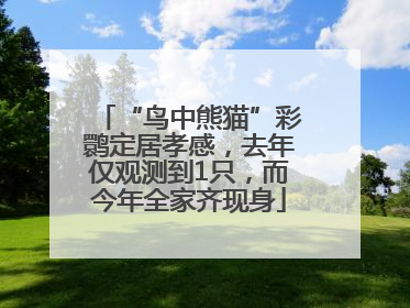 “鸟中熊猫”彩鹮定居孝感，去年仅观测到1只，而今年全家齐现身