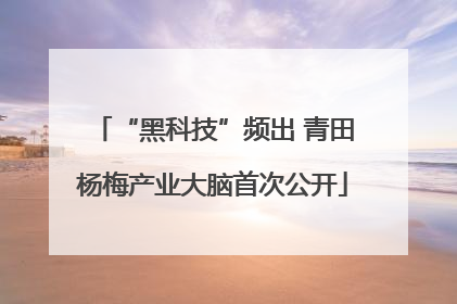 “黑科技”频出 青田杨梅产业大脑首次公开