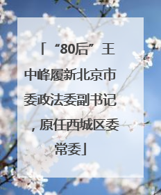 “80后”王中峰履新北京市委政法委副书记，原任西城区委常委